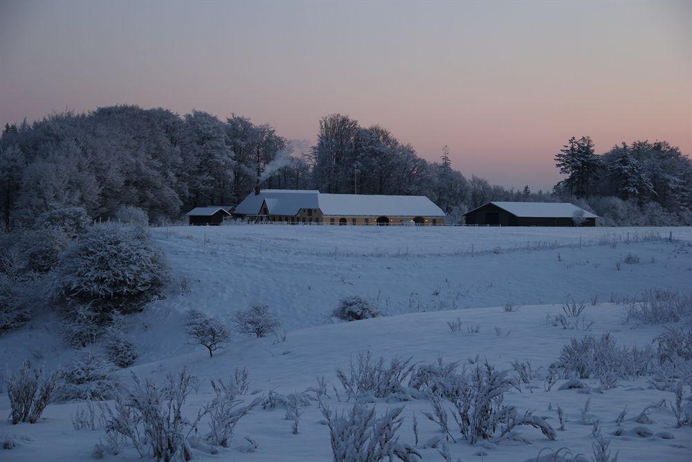 Munkebjerg Bed & Breakfast 보르콥 외부 사진